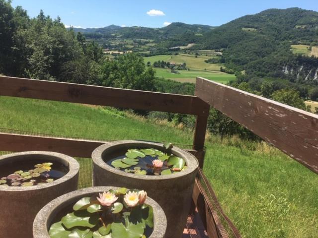 Casa Petra - Casa Tre Stelle - Casa Caneva - Ferien Fuer 6-14 Personen Ponti Zewnętrze zdjęcie